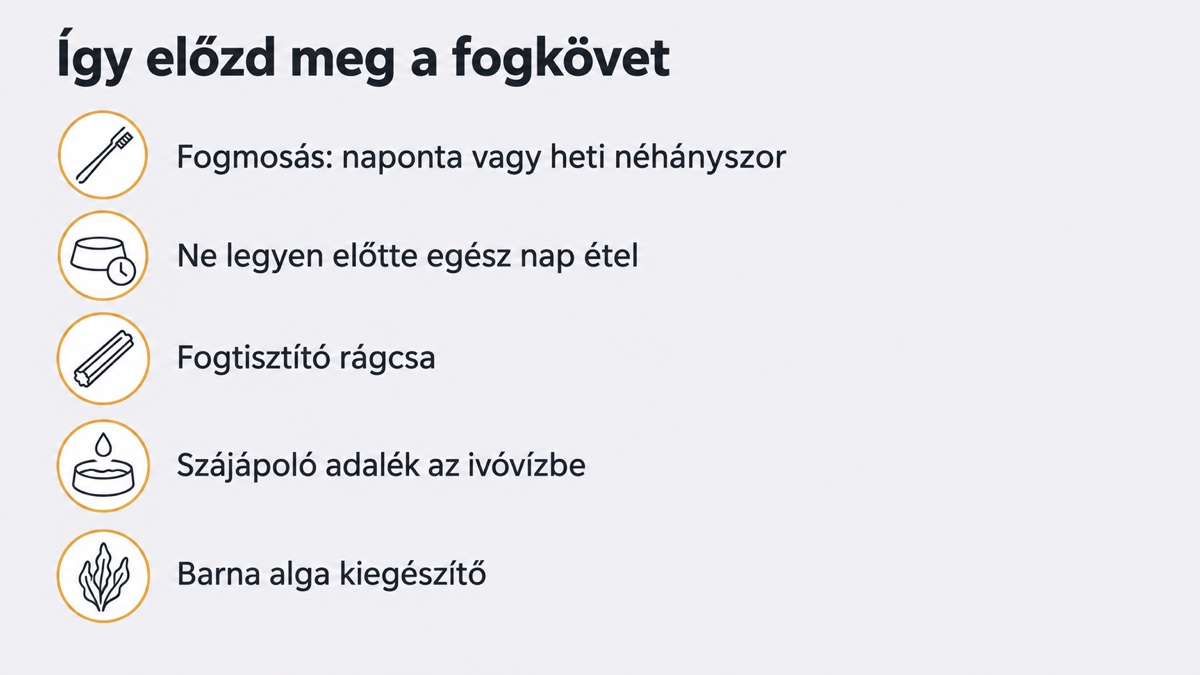 Öt módszer a fogkő megelőzésére francia bulldognál: fogmosás, étkezési rend, rágcsa, ivóvíz-adalék, barna alga